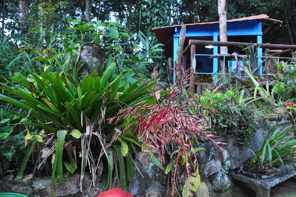 Ecologica Lua Bonita Do Nero Inn